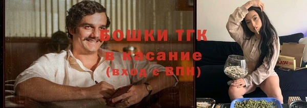 гидра Дмитров
