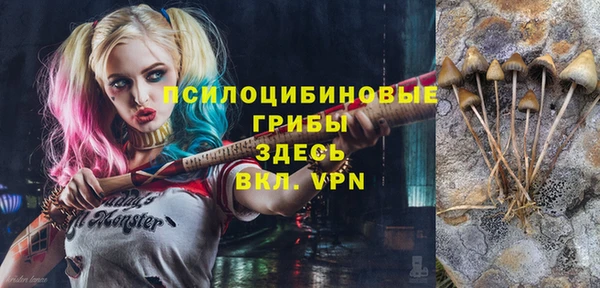 соль ск Дмитровск