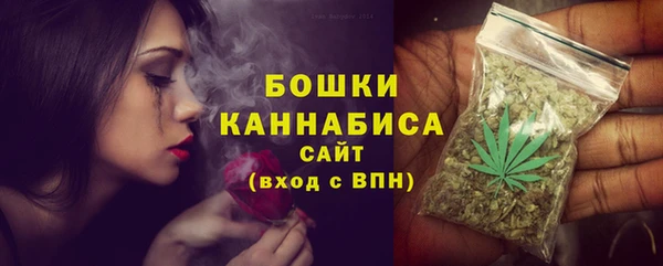 гидра Дмитров