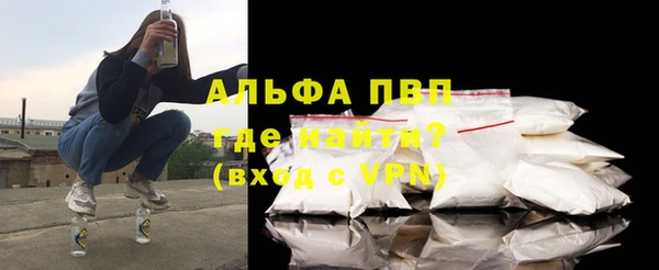 гидра Дмитров