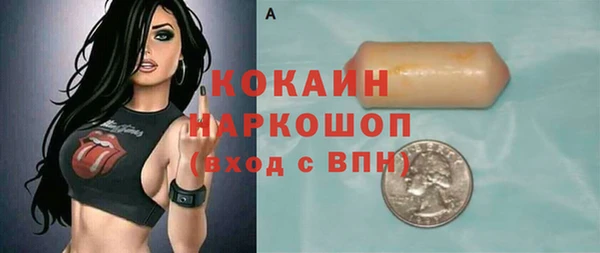 соль ск Дмитровск