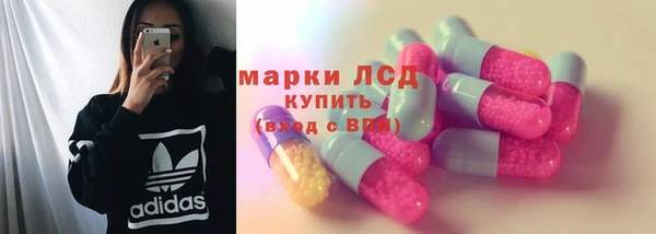 гидра Дмитров
