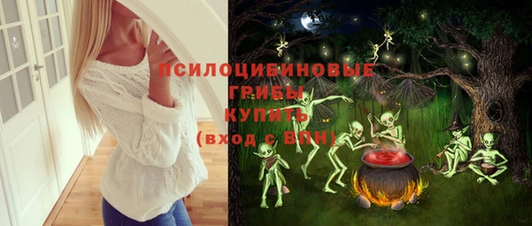 гашик Дмитриев