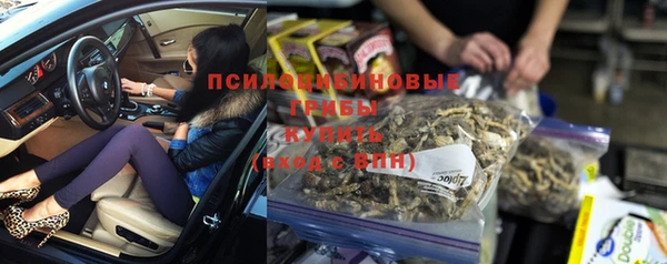 гидра Дмитров