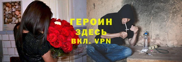 гашик Дмитриев
