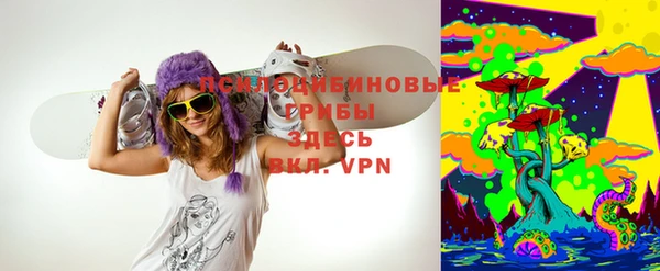 гидра Дмитров