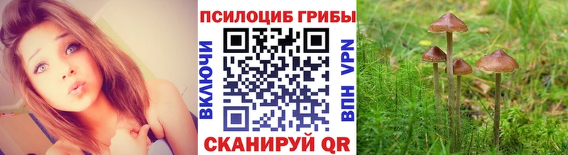 Галлюциногенные грибы мухоморы  shop официальный сайт  Чистополь  где найти наркотики 